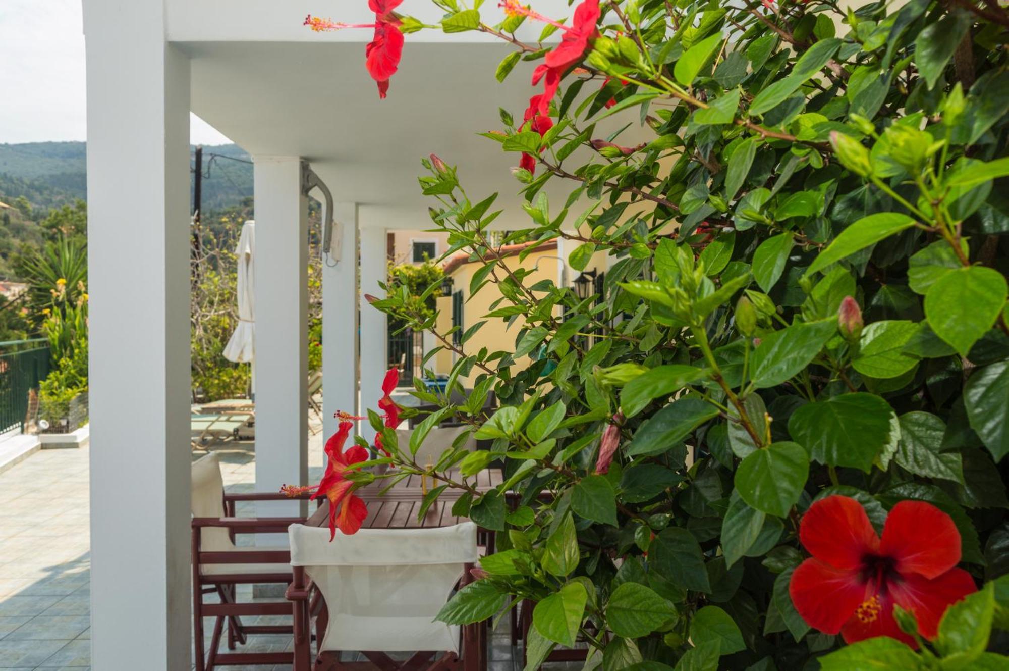 Dionos Villa Asos Luaran gambar